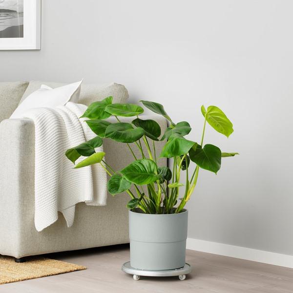 [IKEA/イケア/通販]NYPON ニーポン鉢カバー, 室内/屋外用 グレー,24 cm[C](70395625) |  | 04