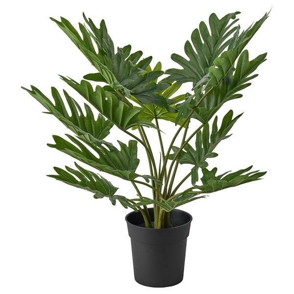 [IKEA/イケア/通販]FEJKA フェイカ人工観葉植物, 室内/屋外用 フィロデンドロン・ザナドゥ,19 cm[D](70600876) | 