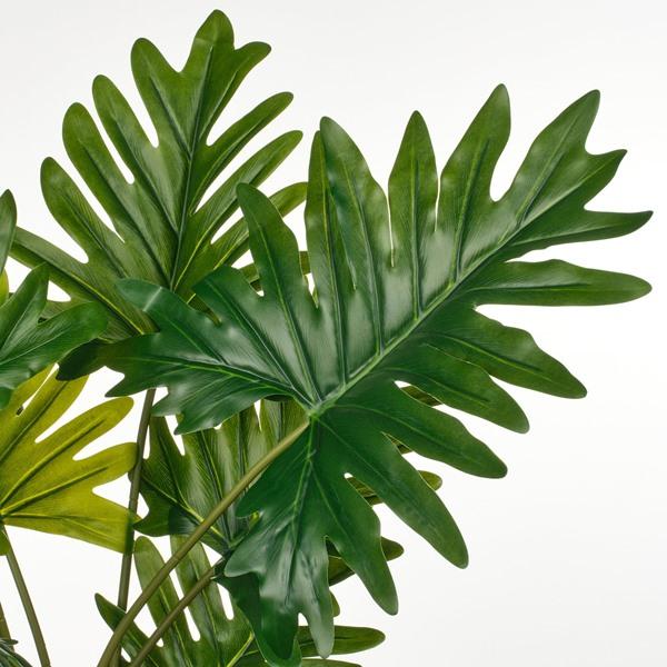 [IKEA/イケア/通販]FEJKA フェイカ人工観葉植物, 室内/屋外用 フィロデンドロン・ザナドゥ,19 cm[D](70600876) |  | 03