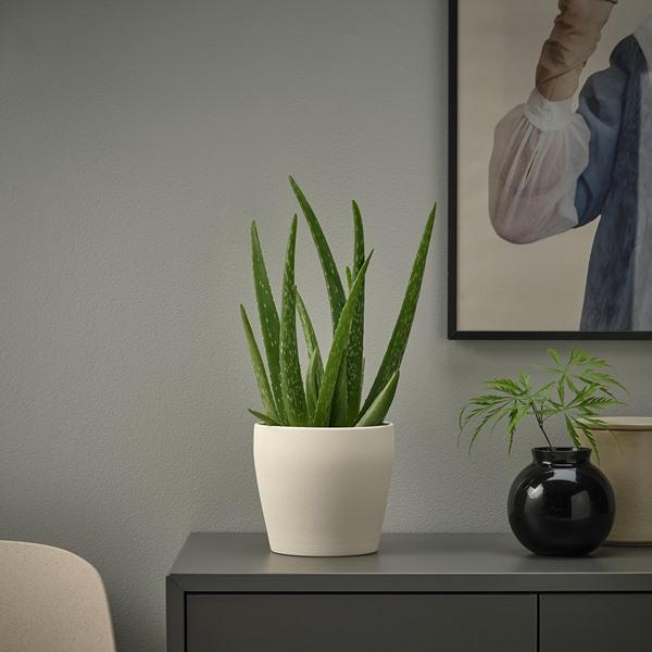 [IKEA/イケア/通販]PERSILLADE ペルスィラデ鉢カバー, ライトベージュ,12 cm[A](70606798) |  | 03