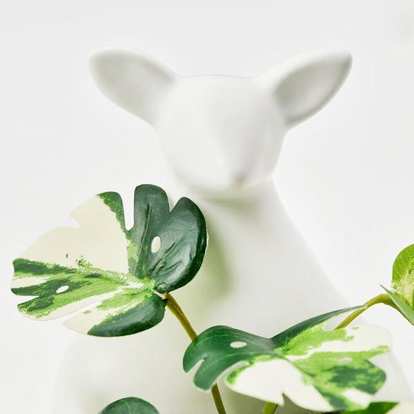 [IKEA/イケア/通販]FEJKA フェイカ人工観葉植物, カンガルー[A](70630048) |  | 03