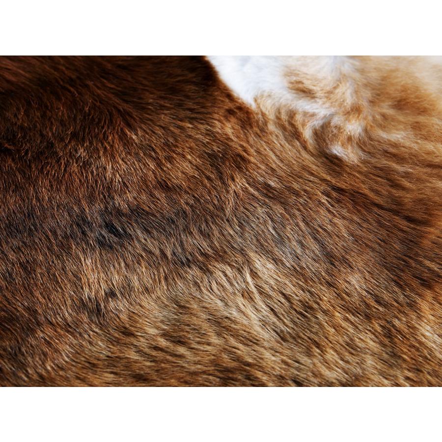 IKEA/イケア/通販]KOLDBY コールドビー カウハイド, ブラウン[D