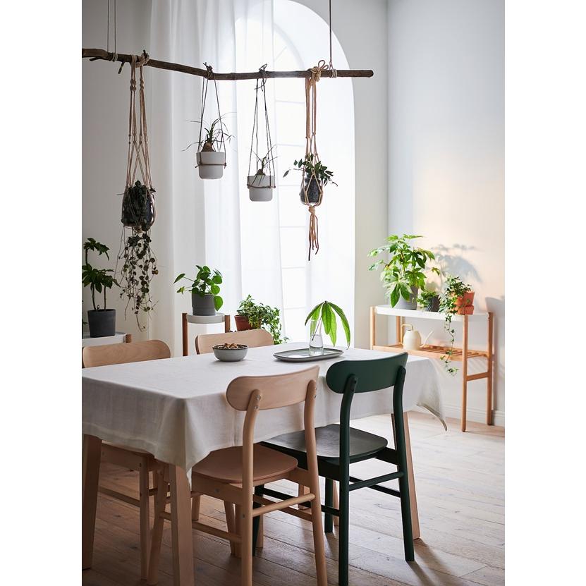 【IKEA/イケア/通販】RONNINGE ロッニンゲ チェア, バーチ[E](80400754) |  | 02