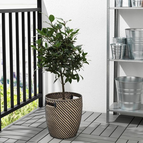 [IKEA/イケア/通販]RAGKORN ローグコルン鉢カバー, 室内/屋外用 ダークグレー/ベージュ,24 cm[C](80407557) |  | 01