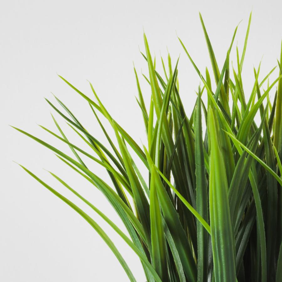 [IKEA/イケア/通販]FEJKA フェイカ 人工観葉植物, 室内/屋外用 グラス, 9 cm[A](80433943) |  | 05