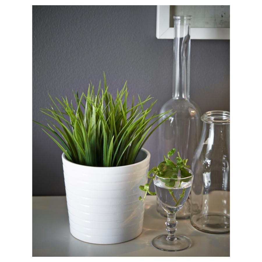 [IKEA/イケア/通販]FEJKA フェイカ 人工観葉植物, 室内/屋外用 グラス, 9 cm[A](80433943) |  | 07