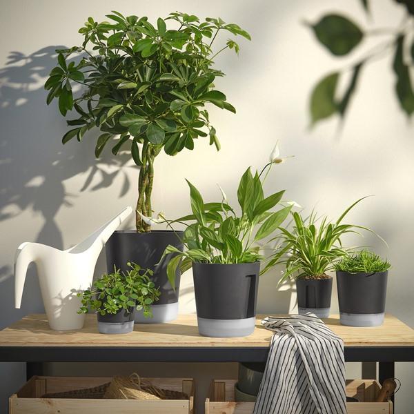[IKEA/イケア/通販]VARDTRAD ヴォルドトレド自動水やり機能付き植木鉢, 室内/屋外用 透明/チャコール,15 cm[AA](80570869) |  | 05