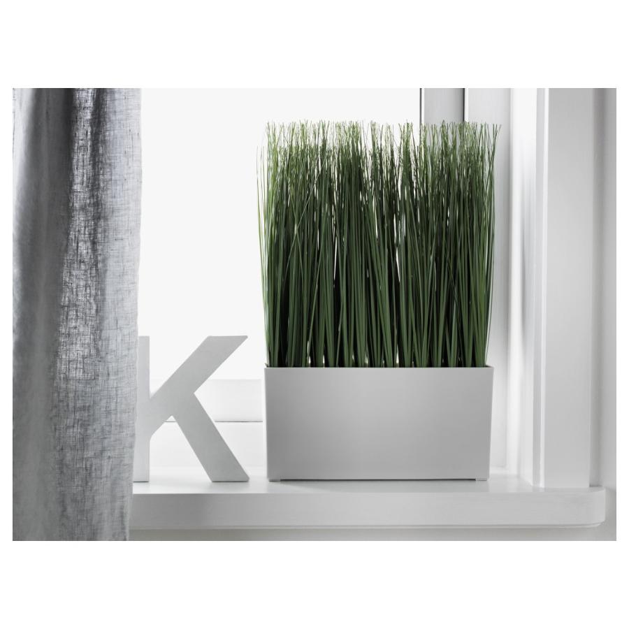 [IKEA/イケア/通販]FEJKA フェイカ 人工観葉植物 鉢カバー付き, 室内/屋外用 グラス[C](90508457) |  | 01