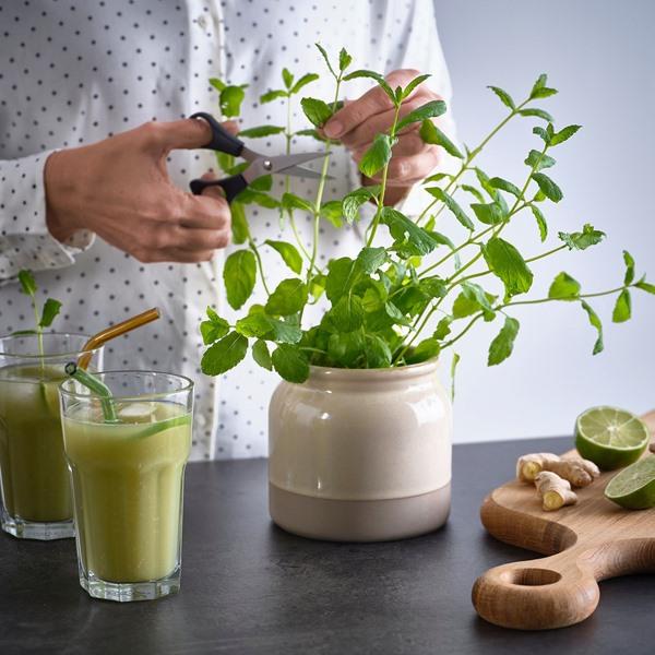 [IKEA/イケア/通販]BRUGDHAJ ブルグドハイふた付き容器, ベージュ,1 l[A](90596232) |  | 02