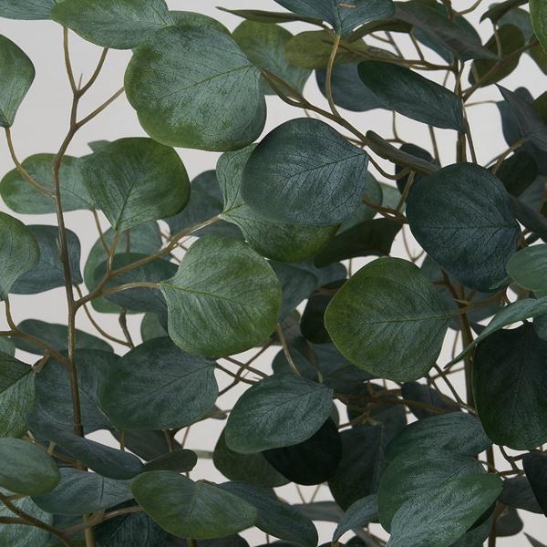 [IKEA/イケア/通販]FEJKA フェイカ人工観葉植物, 室内/屋外用 ユーカリ,19 cm[D](90600875) |  | 03
