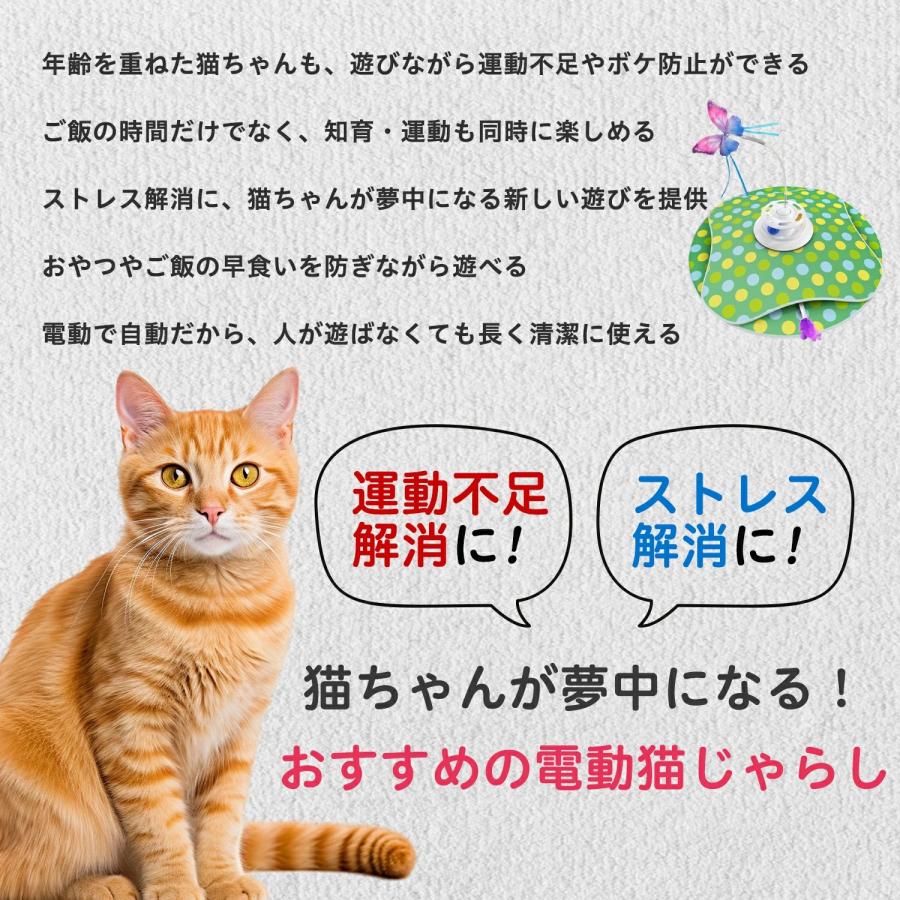 360°自動回転で猫ちゃん大興奮！蝶々や羽根で夢中になれる多機能電動
