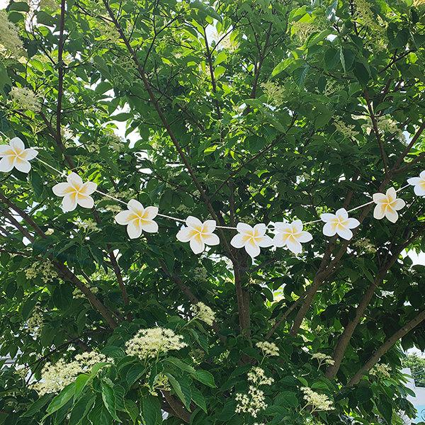 夏 飾り サマー ガーランド プルメリア (紐の長さ200cm) キャンプ ハワイアン 飾り付け 誕生日 ハーフ バースデー パーティー |  | 08