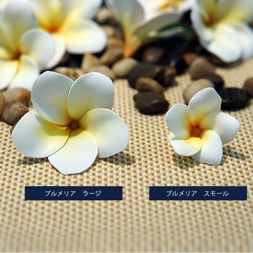 プルメリア スモール |  | 01