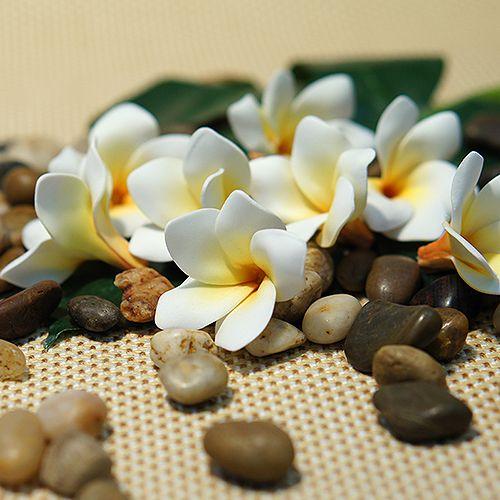 プルメリア スモール |  | 02