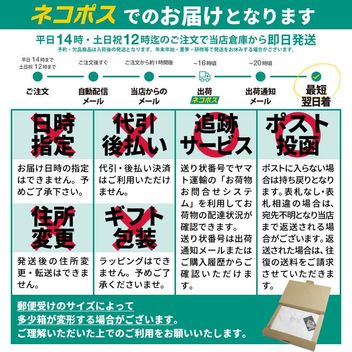 エースフラッグ Aceflag Tシャツ メンズ レディース 半袖 かっこいい おしゃれ Pablo パブロ 紫白 アメカジ ダンス衣装 ラッパー 大きいサイズ B系 本格派大人のb系xlダンス通販 通販 Yahoo ショッピング