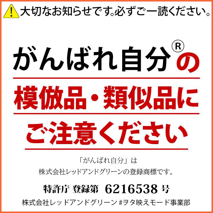 がんばれ自分 Tシャツ 半袖 キッズ 春夏用 100 1cm 男の子 女の子 子供用 子供 頑張れ自分 日本語 ロゴ ヲタ映えモード おもしろ 面白い おしゃれ かわいい 本格派大人のb系xlダンス通販 通販 Yahoo ショッピング