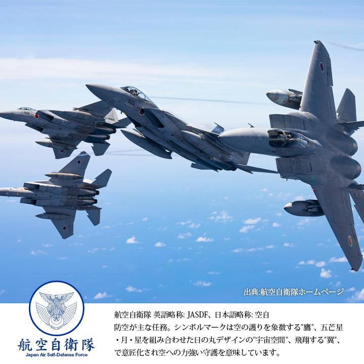 防衛省自衛隊グッズ 帽子 メンズ キャップ F-35 ライトニング 2