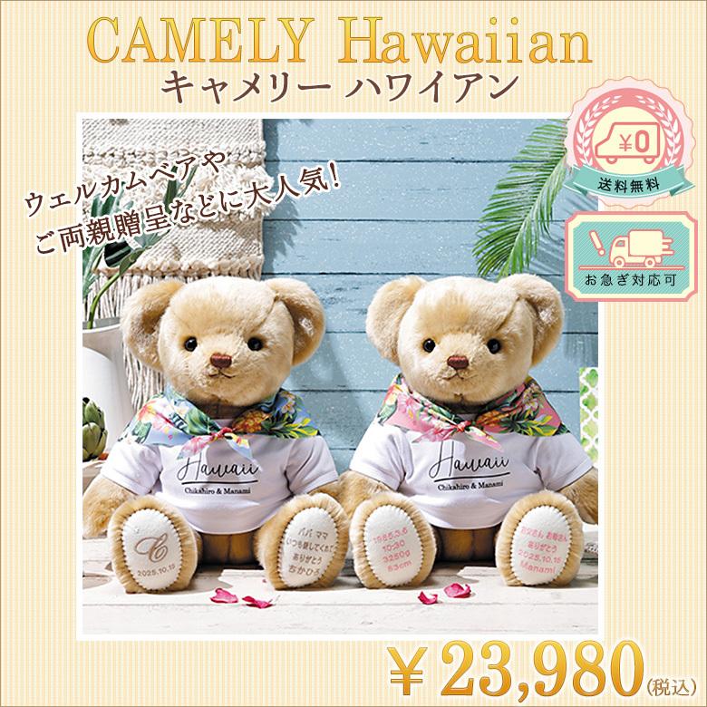 代引不可 体重ベア ウェイトベア ウェイトドール キャメリー ハワイアン 高級素材アクリル100 の肌触りが最高なテディベア 格安即決 Zoetalentsolutions Com