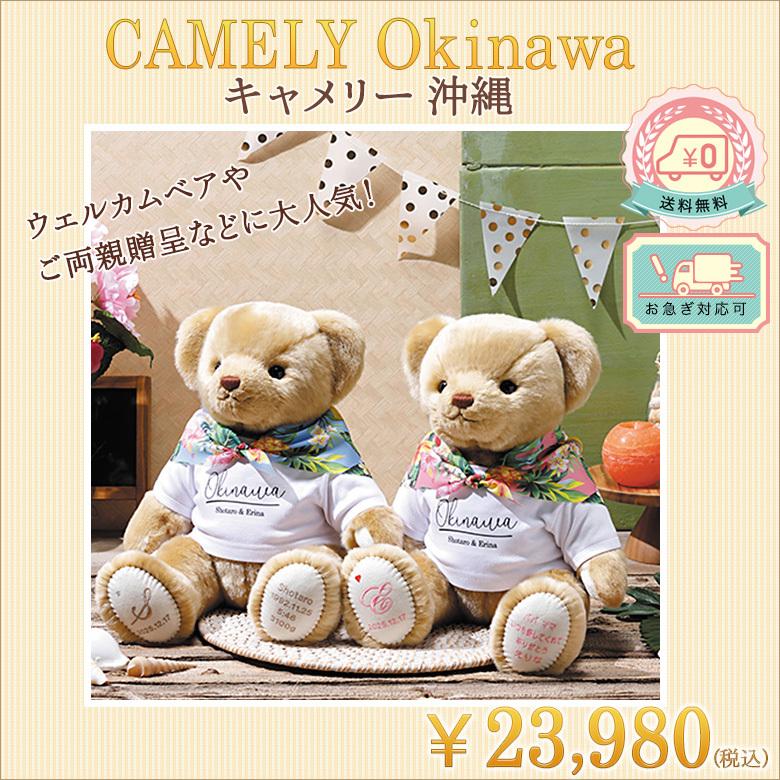 激安特価 体重ベア ウェイトベア ウェイトドール キャメリー 沖縄 高級素材アクリル100 の肌触りが最高なテディベア 新品即決 Zoetalentsolutions Com