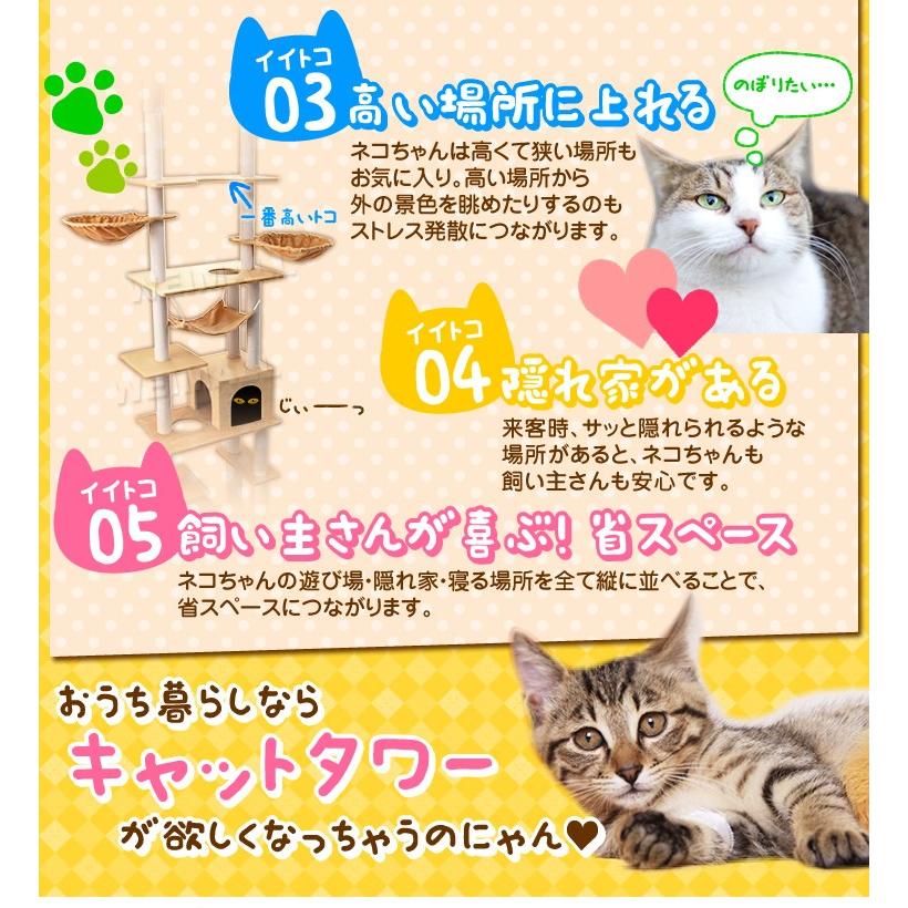 キャットタワー 突っ張り型 240 260cm 爪とぎ付き 階段付き ハンモック 猫 麻 アスレチック 猫タワー キャットハウス Weimall A55catwa Weimall 通販 Yahoo ショッピング