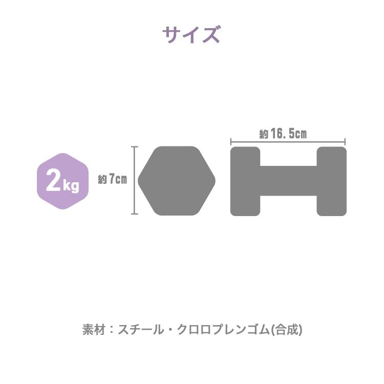 ダンベルセット 2kg 2個セット 合計4kg 全10色 滑りにくいゴム素材 ダンベル カラフル 女性 鉄アレイ エクササイズ ダイエット 筋トレ フィットネス｜weimall｜20