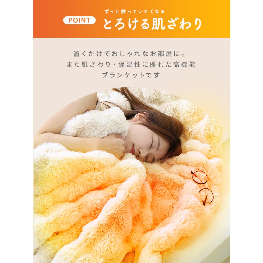 WEIMALL（ウェイモール） 電気毛布 ふわとろ 2枚合わせ 冬用毛布