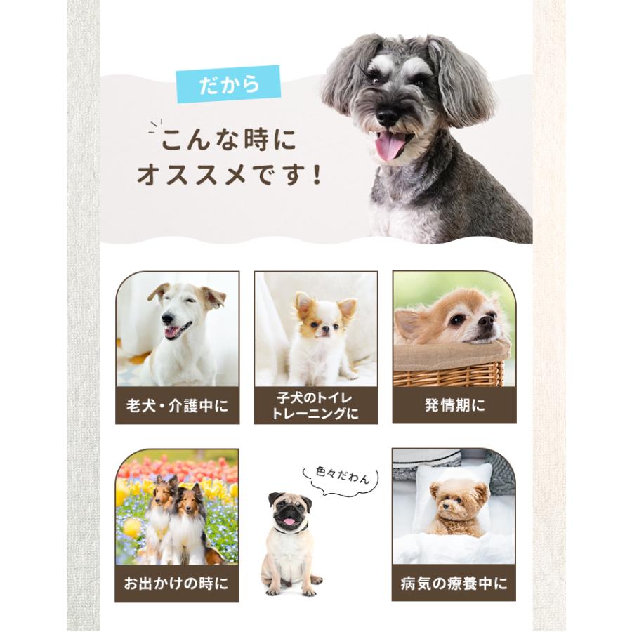犬 オムツ ペットオムツ 犬のオムツ 犬用 おむつ 男の子 オス XS S M L 大型犬用紙おむつ 老犬介護用品 瞬間吸収 逆戻り防止 モレにくい 快適 おでかけ 術後 | WEIMALL | 17