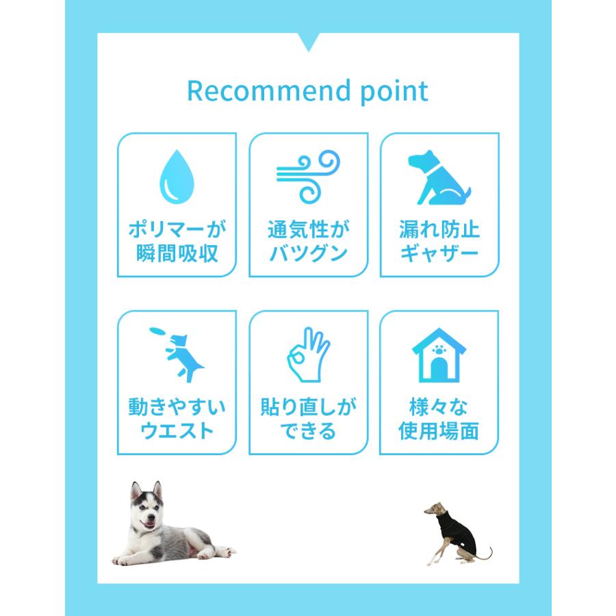 犬 オムツ ペットオムツ 犬のオムツ 犬用 おむつ 男の子 オス XS S M L 大型犬用紙おむつ 老犬介護用品 瞬間吸収 逆戻り防止 モレにくい 快適 おでかけ 術後 | WEIMALL | 06