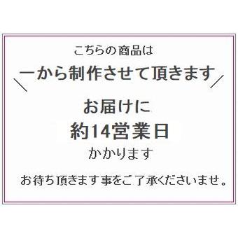ダイヤモンド リング ハーフエタニティ プラチナ 0.3カラット ダイヤリング 50代 40代 普段使い 記念日 プレゼント 人気 受注品 7号〜14号 | DAIYA（ゴルフ用品、日用品） | 16