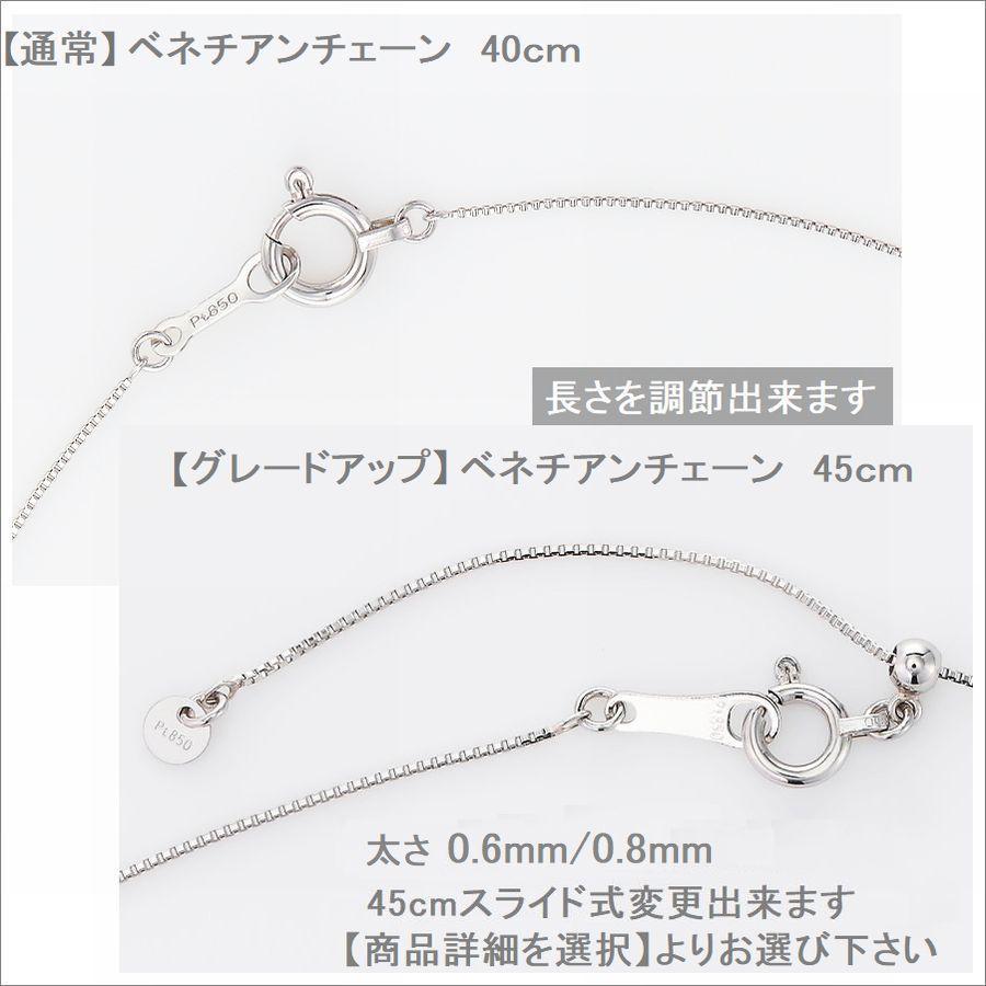 ダイヤモンド ネックレス 一粒 プラチナ 4Cダイヤモンド鑑定付 0.300カラットup Fカラー SIクラス 中央宝石研究所ソーティングシート付き 普段用 プレゼント |  | 17