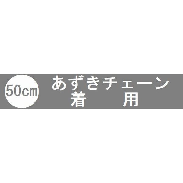 ネックレス チェーン K10 あずきチェーン 太さ0.45mm 40cm〜60cm 50代 40代 30代 10金 取り替え用 調節管付 普段使い プレゼント |  | 11
