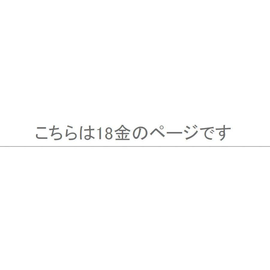 ピアス キャッチ 落ちない K18 ピアスキャッチ シリコン ダブルロックキャッチ 日本製 予備 即日発送 |  | 03