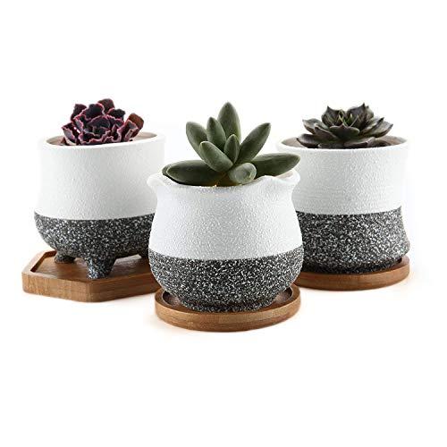 T4u 8cm 陶器鉢 多肉植物鉢 サボテン鉢 植木鉢 ミニ鉢 底穴あり 竹製トレイ付き 3点セット Ehr ウィジェクトストア 通販 Yahoo ショッピング