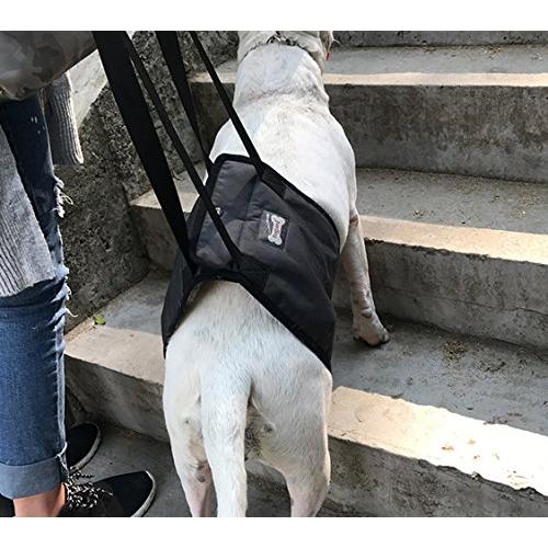 Sehoo犬用 歩行補助ハーネス 小型犬 老犬用 介 護用品 足腰弱い 中型犬 リード 胴輪 ペット用 後足用 障害犬 登山 Lep ウィジェクトストア 通販 Yahoo ショッピング