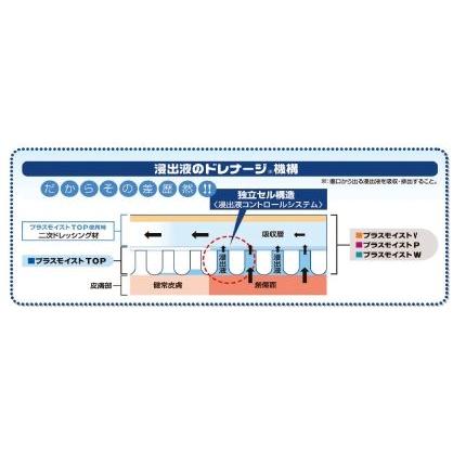 プラスモイスト　WA3A　滅菌済　125×125mm　10枚入　22-2049-02_1