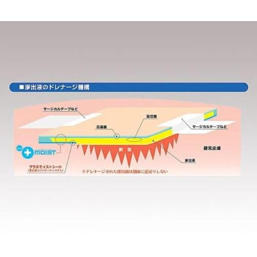 瑞光メディカル プラスモイストV 未滅菌 200×250mm 10枚入 VA1A 
