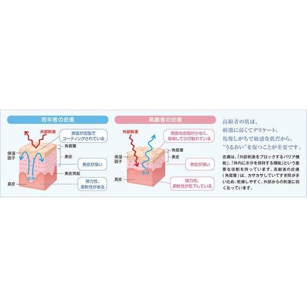 Pigeon（ピジョン） ハビナース うるおいの木 ボディソープ 20L
