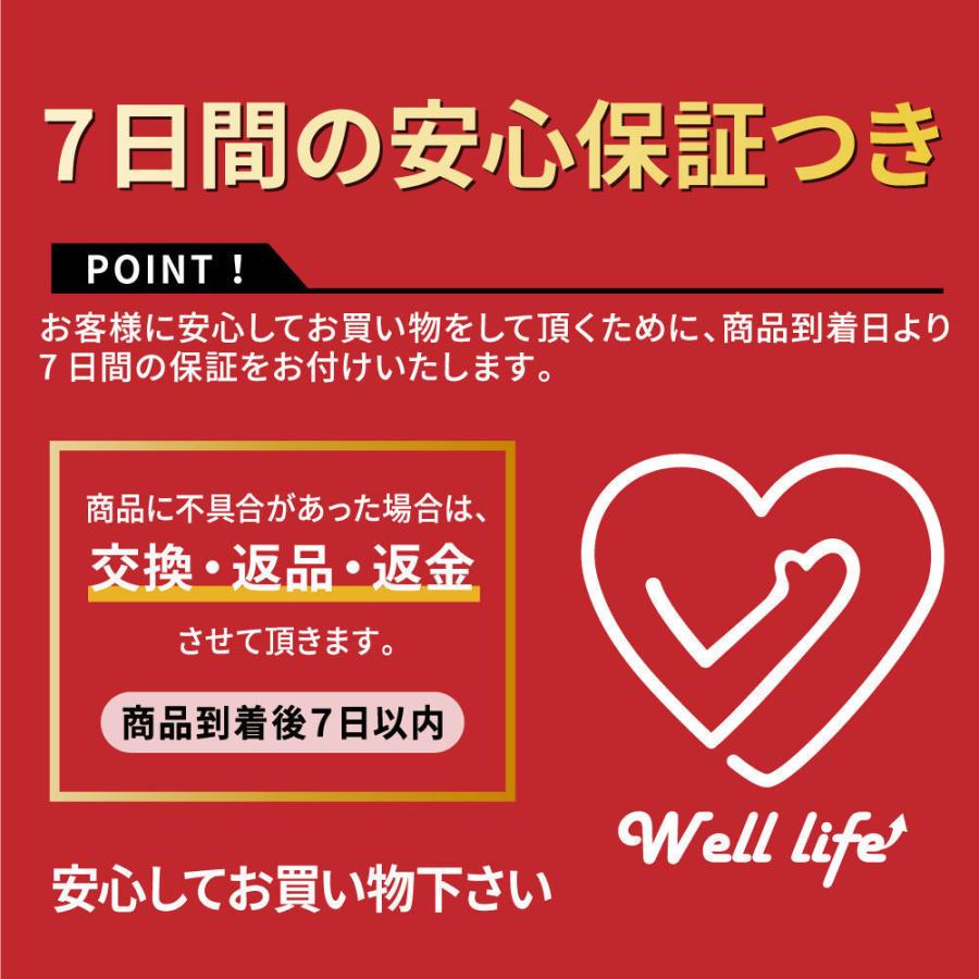 美顔器 イオン導出入 ディープクレンジング 音波振動 エイジングケア