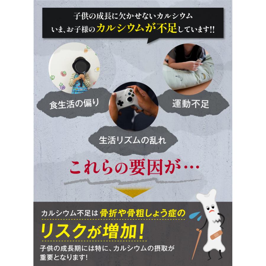 T841 水指 『兎耳水指』『西尾健斎 作』 共箱 茶道具 【公式通販】