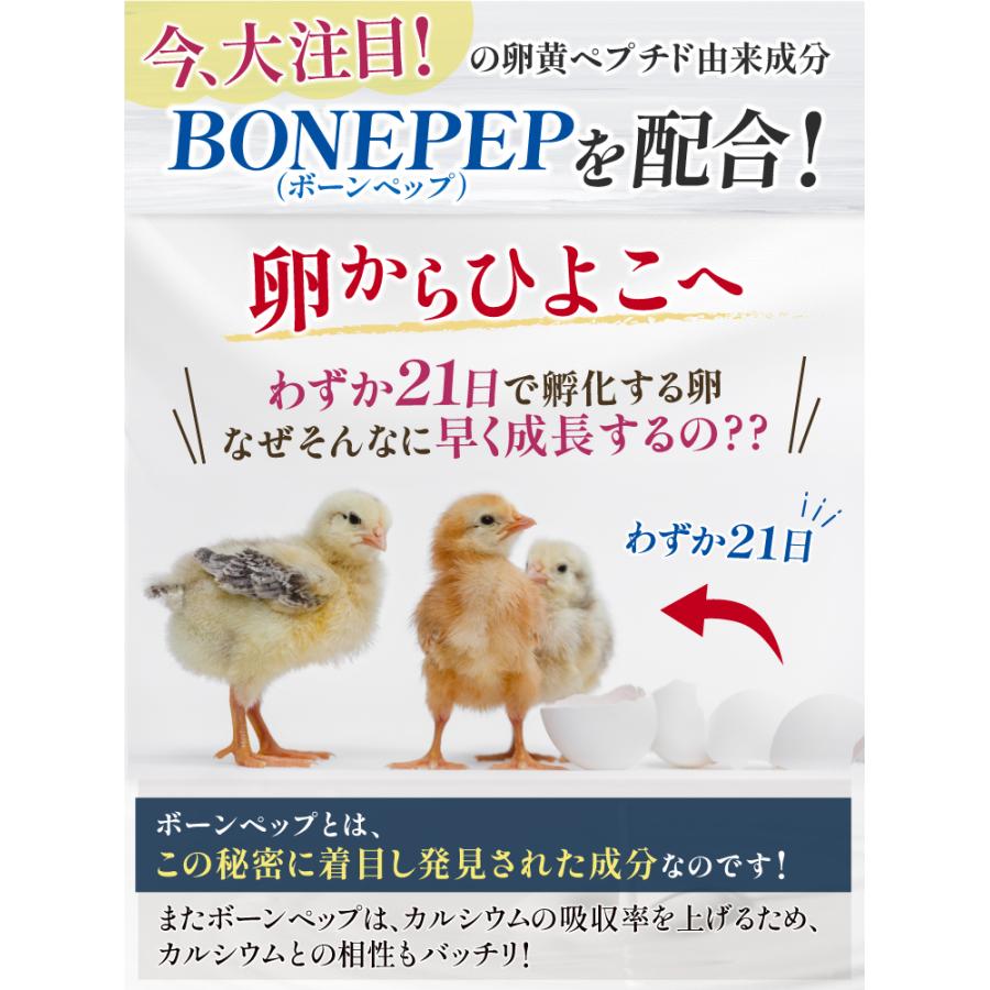 カルシウム 子供 成長 サプリ 身長 マグネシウム 成長期 伸ばす ビタミンD 骨 歯 噛む せのびっこ 5袋セット｜well-life｜06