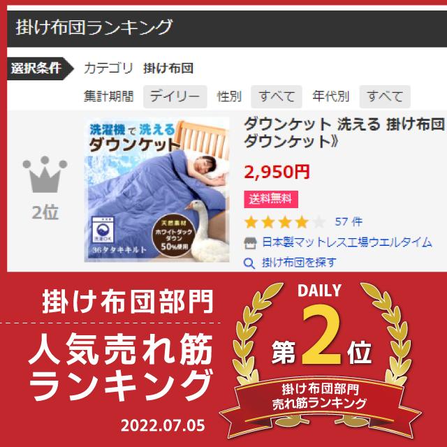 掛け布団 ダウンケット 洗える 羽毛 羽毛布団 肌掛け 夏布団 掛け布団 ダウンケット 洗える 羽毛 羽毛布団 肌掛け 夏布団