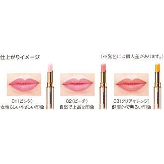 COVERMARK（カバーマーク） リアルフィニッシュ ブライトニング リップ 
