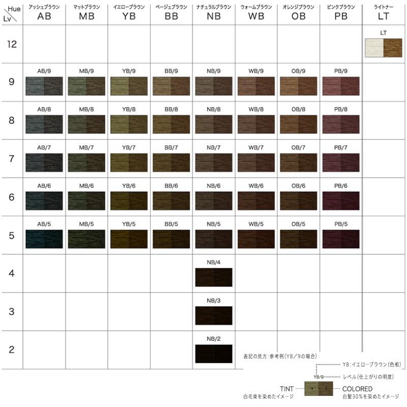 インターコスメ トエルカラー NB6(ナチュラルブラウン6) 100g [医薬部