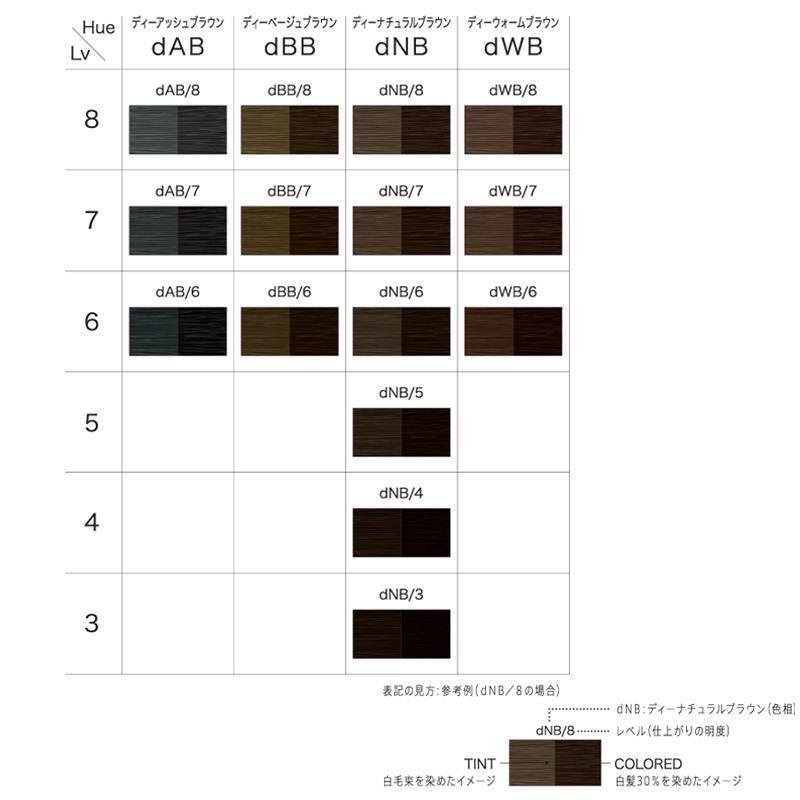 インターコスメ トエルカラー -d- dWB8(ディーウォームブラウン8) 100g  医薬部外品 白髪染め染毛剤・1剤｜wellcube｜02