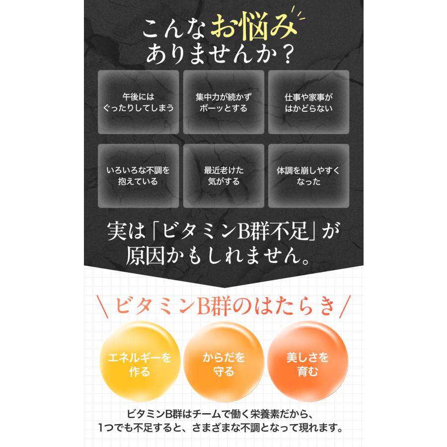 ビタミンB サプリ 【日本初・医師監修】 リポソーム ビタミンB群 8種