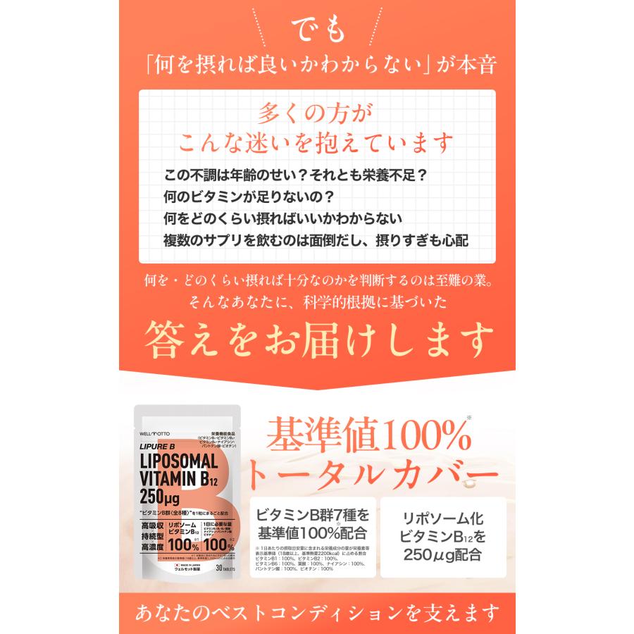 ビタミンB サプリ 【日本初・医師監修】 リポソーム ビタミンB群 8種
