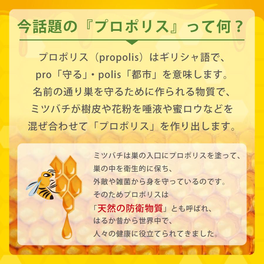 プロポリス スプレー 【製薬会社との共同開発】【管理栄養士推奨!】 ビタミンC 20ml 国内生産 ポイント消化 送料無料｜wellmotto｜07