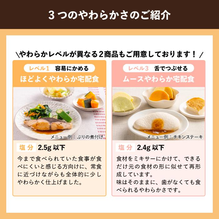 介護 食 高齢者 食事 高齢者食 冷凍弁当 冷凍 嚥下 嚥下食 減塩 管理