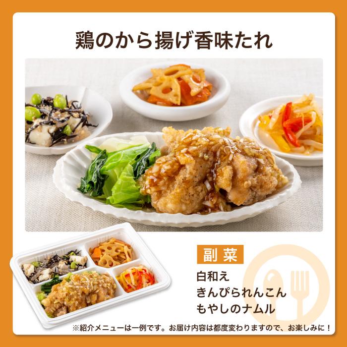 腎臓病食 たんぱく制限 減塩 冷凍弁当 冷凍 弁当 たんぱく質