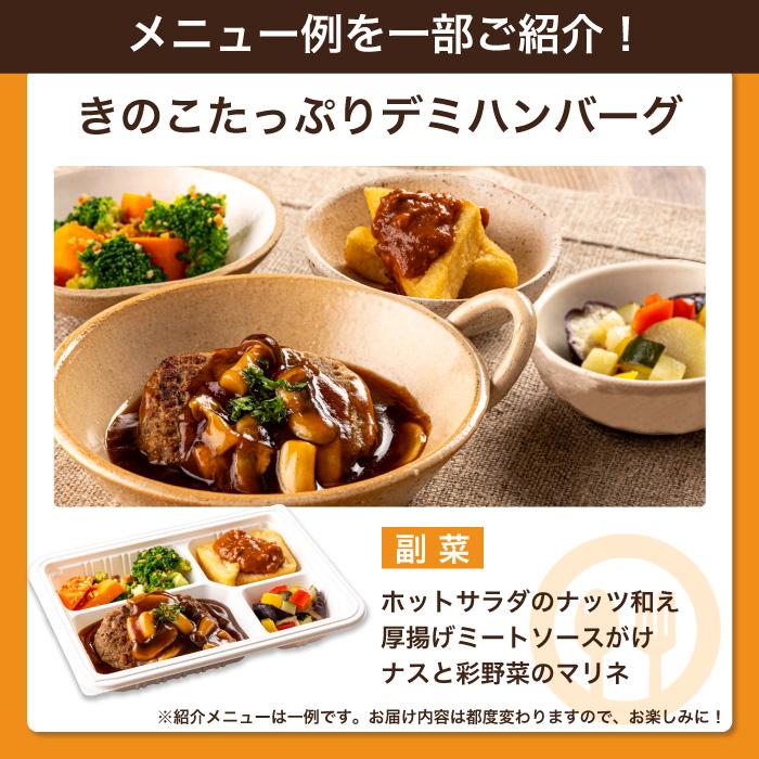 腎臓病食 たんぱく制限 減塩 冷凍弁当 冷凍 弁当 たんぱく質